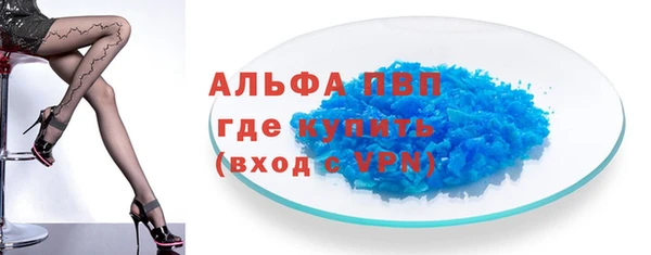 прущие грибы Майский