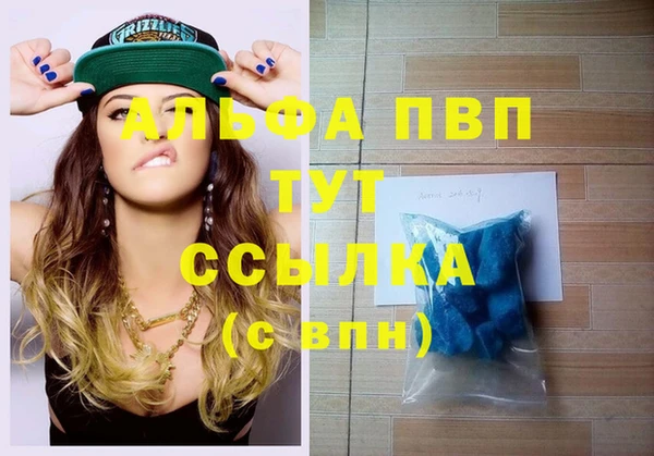 прущие грибы Майский