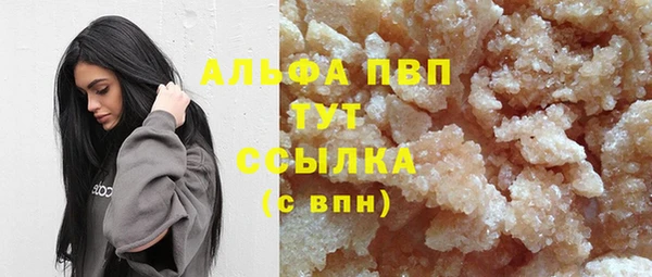 прущие грибы Майский