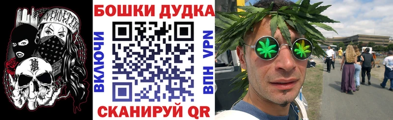 Каннабис AK-47  Купить закладки  Инсар 